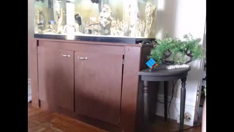 latinlover513 online show from 03-11-25, 06:08