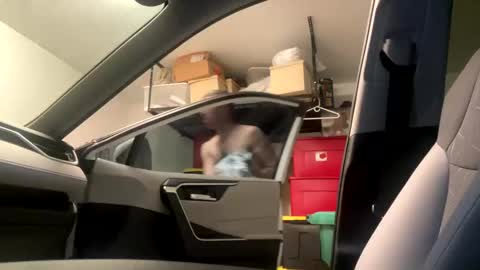 law_cambio online show from 03-01-25, 08:31