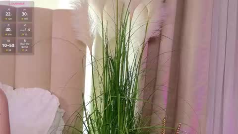 Snapshot of layla_bloom chatting on 01-31-26, 07:11 Your sweet girl-next-door online show from 01-31-26, 07:11