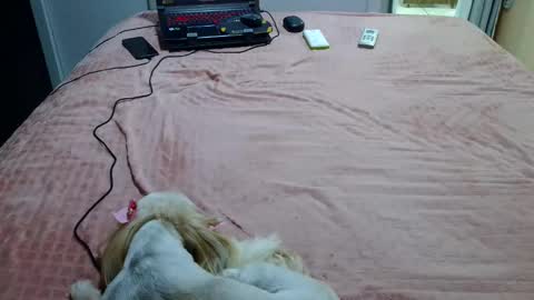 kelly online show from 02-04-25, 11:27