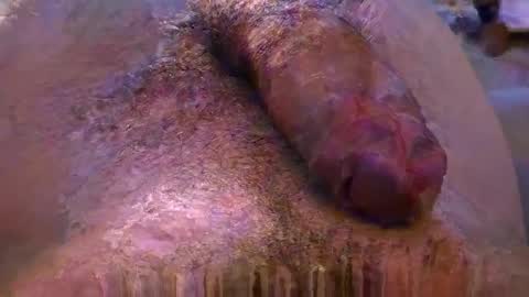 lb_38 online show from 11-04-25, 09:47