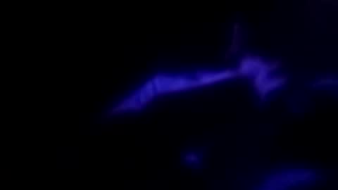 Snapshot of leemen33 chatting on 09-30-25, 09:14 Michael online show from 09-30-25, 09:14