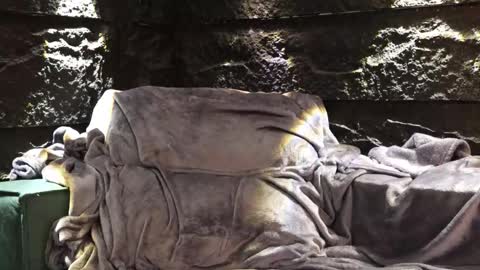 Leo  Diaz online show from 11-30-25, 03:54