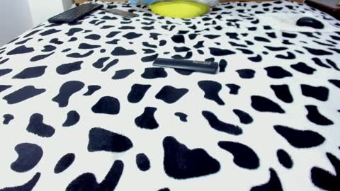 Leo online show from 01-27-25, 05:15