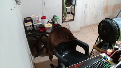 leonino231 online show from 12-15-25, 04:06