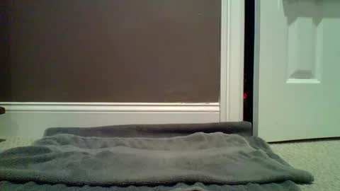 Lets Orgasm  online show from 01-27-25, 12:54