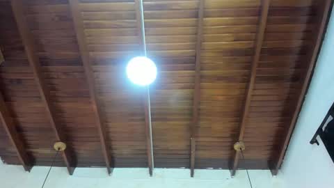 Snapshot of levy_steve chatting on 10-13-25, 03:39 LevySteven online show from 10-13-25, 03:39