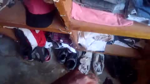 lewiskip online show from 11-17-25, 04:51