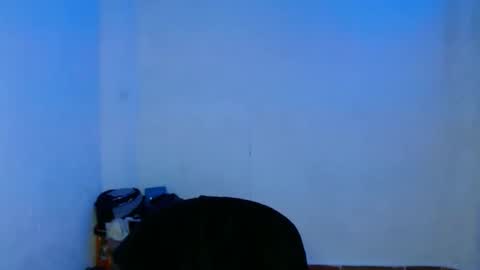 Snapshot of lia_vc chatting on 12-22-24, 04:50 lia_vc online show from 12-22-24, 04:50