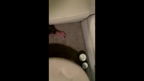 Snapshot of liamleggings chatting on 12-01-25, 02:38 liamleggings online show from 12-01-25, 02:38