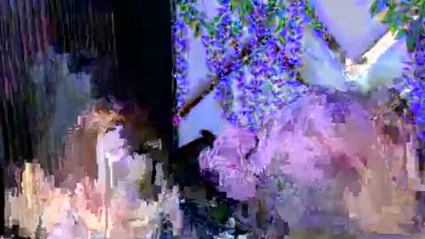 Brittany online show from 12-03-25, 02:48