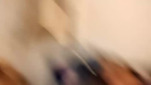 Snapshot of likdatass69247 chatting on 12-28-24, 06:28 likdatass69247 online show from 12-28-24, 06:28