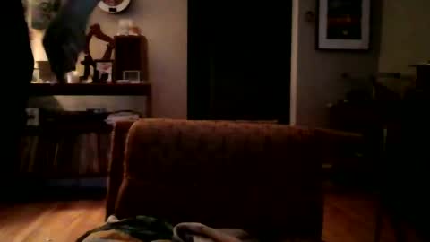 lildeer1980 online show from 01-08-25, 08:16