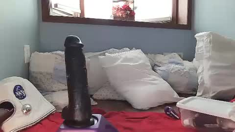 Lilrosiedoll online show from 12-11-24, 05:26