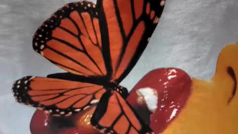 Snapshot of lilvioletxxx chatting on 11-29-25, 04:15 Little Violet online show from 11-29-25, 04:15