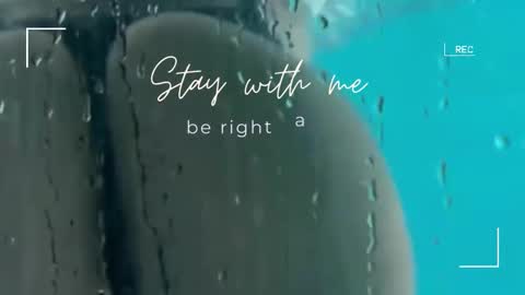 Snapshot of lily_foster_ chatting on 11-09-25, 06:33 Lily online show from 11-09-25, 06:33