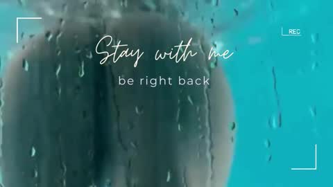 Lily online show from 12-21-25, 06:31