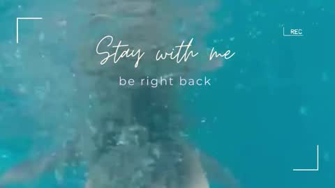 Lily online show from 02-18-26, 06:42