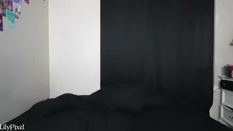 Snapshot of lilypixel chatting on 01-13-25, 02:07 Liliana Marie Pixelate online show from 01-13-25, 02:07