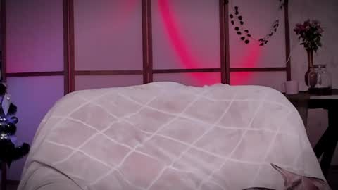 Lina -  online show from 12-16-24, 11:44