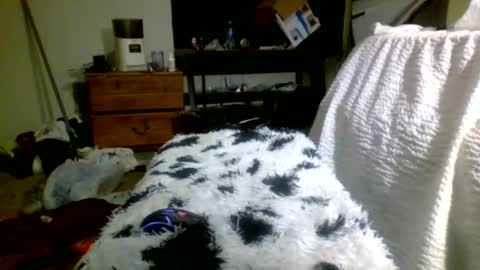 Snapshot of lincolnlongdick chatting on 12-30-24, 05:13 Richie Rich online show from 12-30-24, 05:13