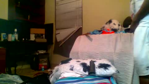 Snapshot of lincolnlongdick chatting on 01-05-25, 08:22 Richie Rich online show from 01-05-25, 08:22