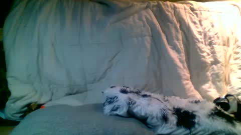 Snapshot of lincolnlongdick chatting on 01-13-25, 02:39 Richie Rich online show from 01-13-25, 02:39