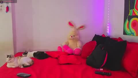 Snapshot of linda_rose28 chatting on 09-16-25, 02:07 linda_rose28 online show from 09-16-25, 02:07