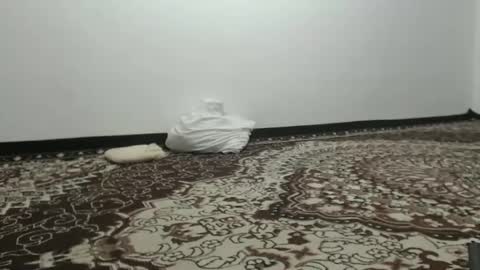 LinKissKiss online show from 02-26-25, 12:03