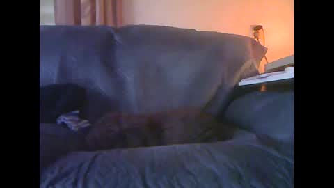 lion160868 online show from 01-18-26, 09:13