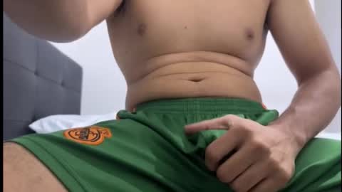 lion_20cm online show from 11-10-25, 12:42