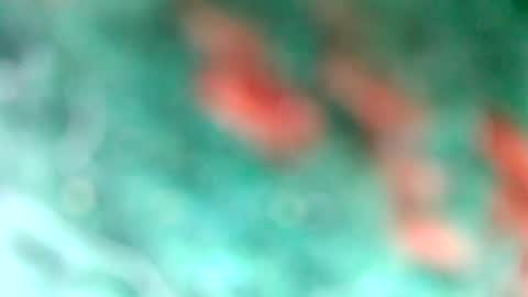 lionelearthquake online show from 03-11-25, 04:18