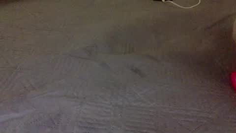 Snapshot of lipinhofortal853516 chatting on 11-10-25, 12:31 lipinhofortal853516 online show from 11-10-25, 12:31