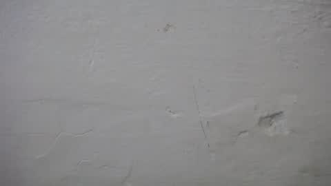 lisa_branch online show from 10-06-25, 07:11