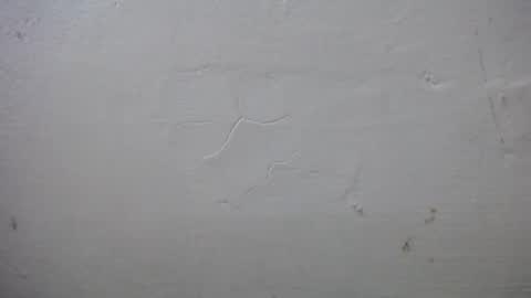 lisa_branch online show from 10-13-25, 07:25