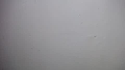 Snapshot of lisa_branch chatting on 12-18-25, 10:54 lisa_branch online show from 12-18-25, 10:54