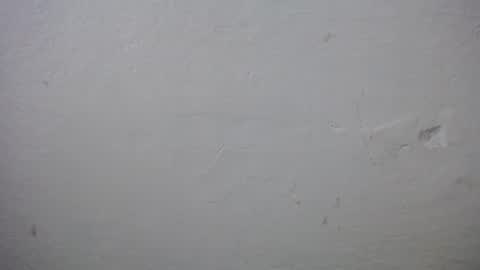 Snapshot of lisa_branch chatting on 12-20-25, 11:17 lisa_branch online show from 12-20-25, 11:17