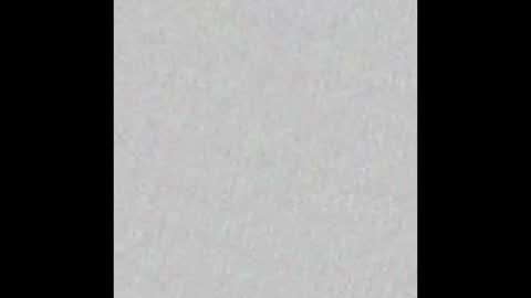 Snapshot of little_paw chatting on 10-20-25, 04:46 Adaline online show from 10-20-25, 04:46