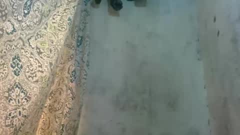 edra online show from 10-13-25, 05:18