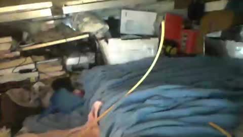 Snapshot of littlejay4773 chatting on 10-04-25, 07:17 littlejay littlejay online show from 10-04-25, 07:17