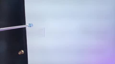 Lizz  online show from 02-06-25, 11:54