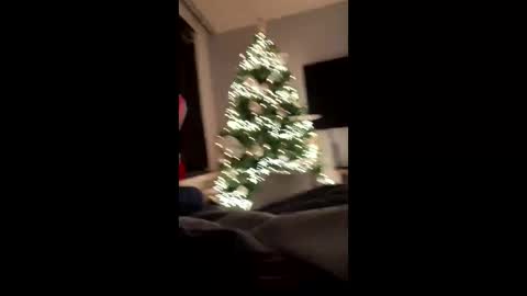 Cumshooter online show from 12-08-24, 12:18