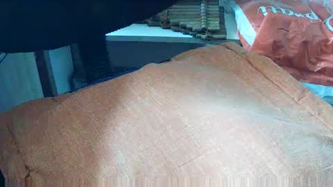 Snapshot of loboxavi chatting on 09-19-25, 01:23 loboxavi online show from 09-19-25, 01:23