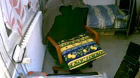 Snapshot of lokoum39 chatting on 12-02-24, 05:15 lokoum39 online show from 12-02-24, 05:15