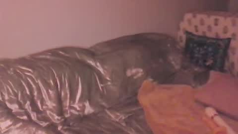 Lola Peach xo online show from 03-20-26, 12:26