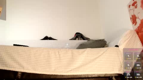 Miss Lolla online show from 10-27-25, 06:50