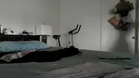 Snapshot of londonmariexxx chatting on 11-16-25, 08:47 LondonMariexxx online show from 11-16-25, 08:47