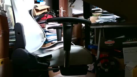 Pumabreizh online show from 02-14-25, 04:41