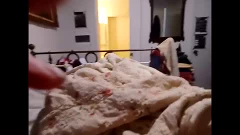 longarchrrr online show from 10-16-25, 11:33