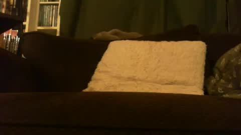 longlorne online show from 02-15-26, 04:31